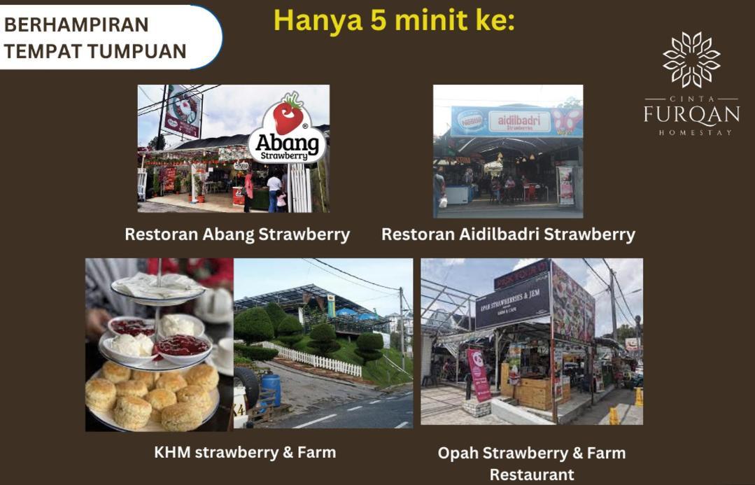 Homestay Cinta Furqan 1 - Apartment Cameron Highland تاناه راتا المظهر الخارجي الصورة